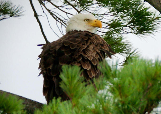 Saratoga Lake Association